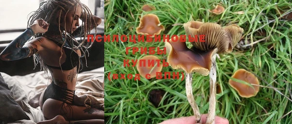 mdpv Касимов