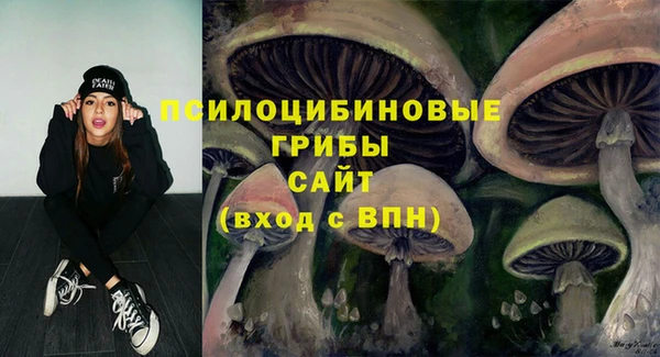mdpv Касимов