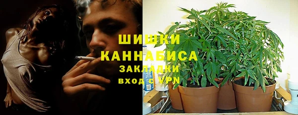 гидра Кинешма